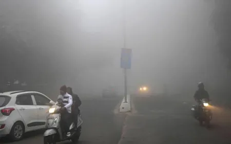 पंजाब में अब दिन और रात का तापमान गिरेगा:शीतलहर और घने कोहरे का ऑरेंज अलर्ट, गुरदासपुर सबसे ठंडा; चंडीगढ़ से 6 फ्लाइट्स कैंसिल