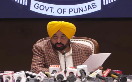 CM मान बोले- अकाली दल छिपकलियों की पार्टी बन गया:साहिबजादों के कार्टून पर BJP पर कार्रवाई क्यों नहीं; पावन स्वरूपों के मामले में एक्शन होगा