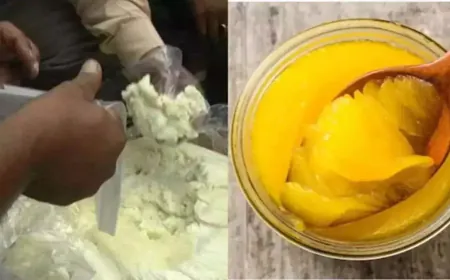 मोहाली के Zirakpur में चल रहा था मिलावट का धंधा, नकली पनीर और देसी घी की सप्लाई का भंडाफोड़