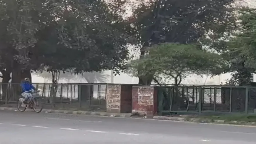 Haryana में 4 Districts में Cold Wave Alert; अगले 3 दिन Weather रहेगा ठंडा, दिन में चलेंगी ठंडी हवाएं, Temperature गिरेगा