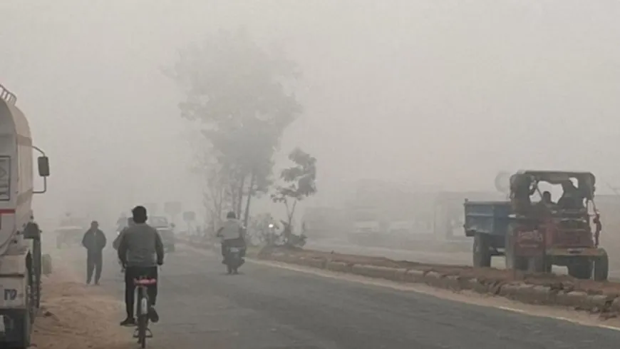 पंजाब में कल से घने कोहरे का अलर्ट:आदमपुर 3.0 डिग्री तापमान के साथ सबसे ठंडा, चंडीगढ़ का AQI 163