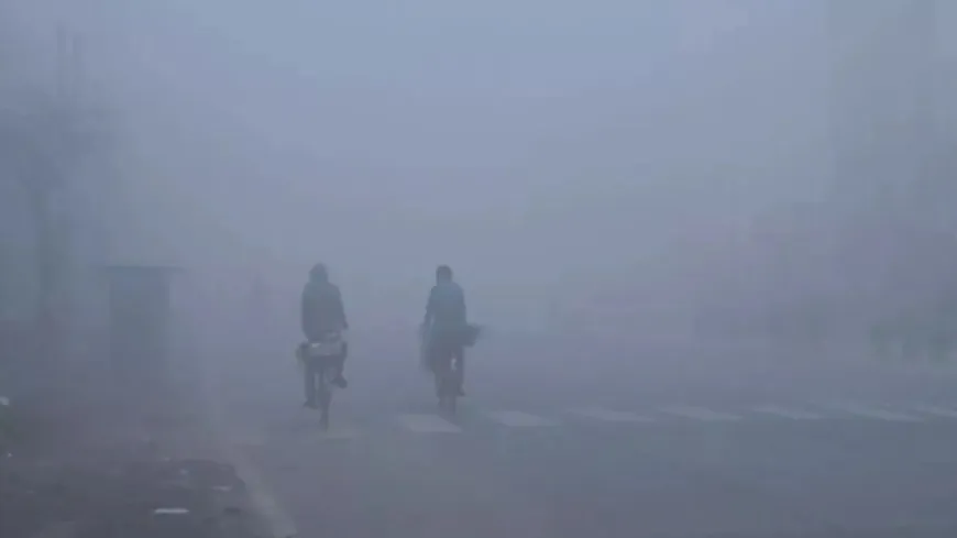 पंजाब में सर्द हवाओं से बढ़ी ठिठुरन:फरीदकोट 5.2 °C के साथ सबसे ठंडा, बठिंडा में पारा 25 डिग्री सेल्सियस