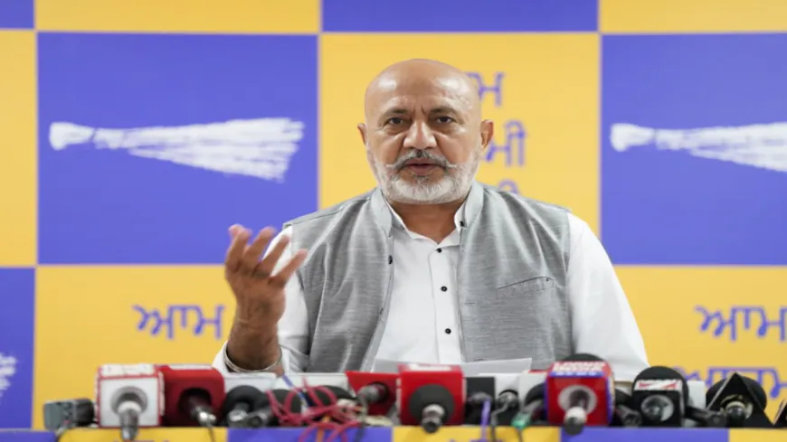 युद्ध नशों विरुद्ध के 300 दिन पूरे, नशा तस्करों पर मान सरकार का बड़ा प्रहार!