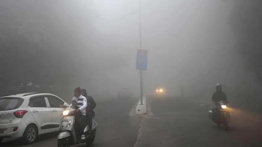 पंजाब में अब दिन और रात का तापमान गिरेगा:शीतलहर और घने कोहरे का ऑरेंज अलर्ट, गुरदासपुर सबसे ठंडा; चंडीगढ़ से 6 फ्लाइट्स कैंसिल