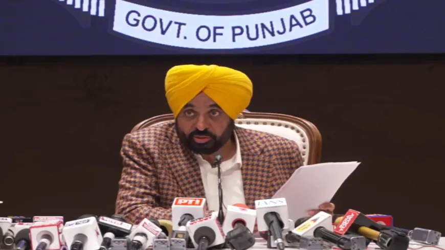 CM मान बोले- अकाली दल छिपकलियों की पार्टी बन गया:साहिबजादों के कार्टून पर BJP पर कार्रवाई क्यों नहीं; पावन स्वरूपों के मामले में एक्शन होगा
