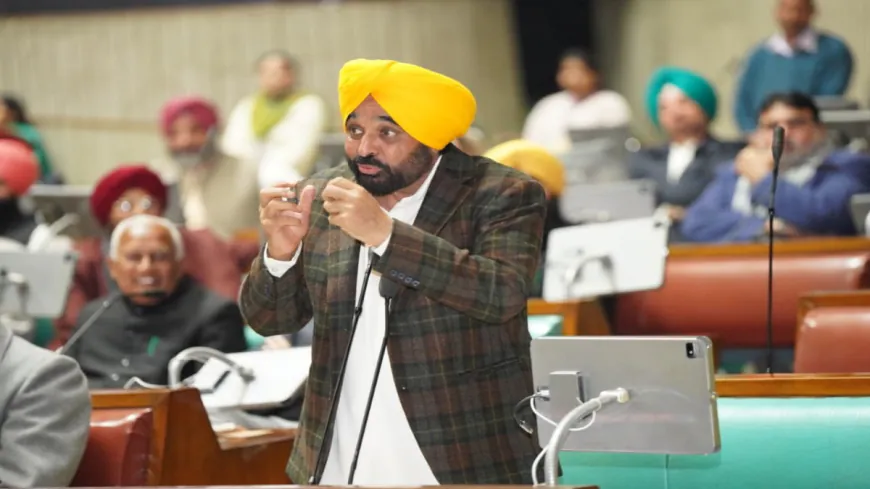 BJP ने मनरेगा को खत्म कर छीनी दलितों और गरीबों के रोजगार की गारंटी- भगवंत मान