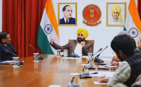 IPL की तर्ज पर अब पंजाब में मचेगा धमाल: भगवंत मान सरकार ने 'पंजाब क्रिकेट लीग' को दी मंजूरी