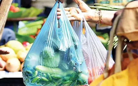 चंडीगढ़ मनीमाजरा में बड़ी कार्रवाई: प्रतिबंधित प्लास्टिक इस्तेमाल करने वाले 13 दुकानदारों के कटे चालान