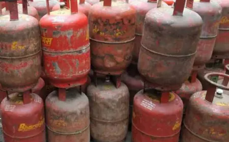 लुधियाना में बदमाशों का आतंक: गैस डिलीवरी कर्मी को सड़क पर घेरकर लूटे 11 हजार रुपये