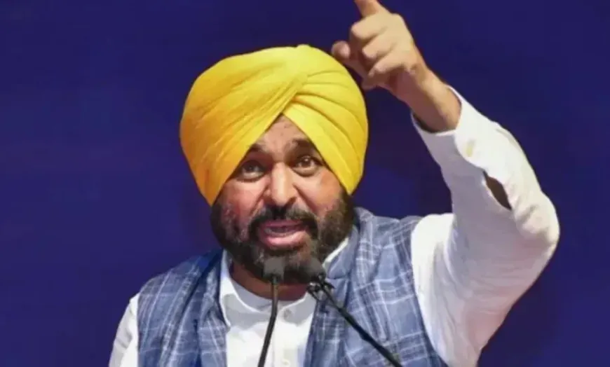 पंजाब सरकार ने केंद्रीय बजट को किसान और जनता विरोधी बताया, राज्य और उसके लोगों के साथ हुई लगातार उपेक्षा पर उठाए सवाल