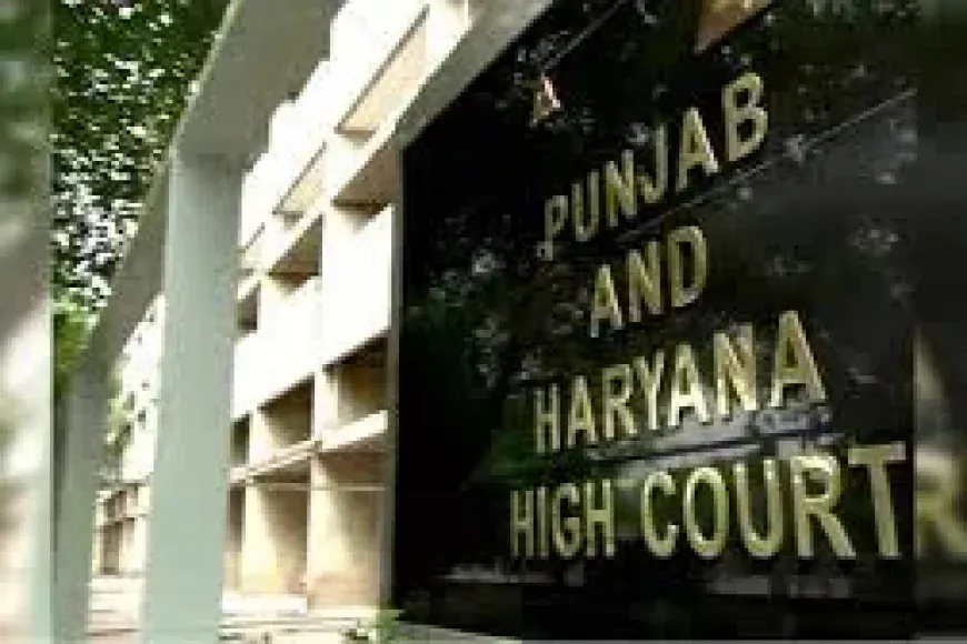 पंजाब-हरियाणा हाईकोर्ट ने कहा, बिना वैध तलाक दूसरा विवाह कानूनी नहीं; 498A के तहत कार्रवाई अमान्य