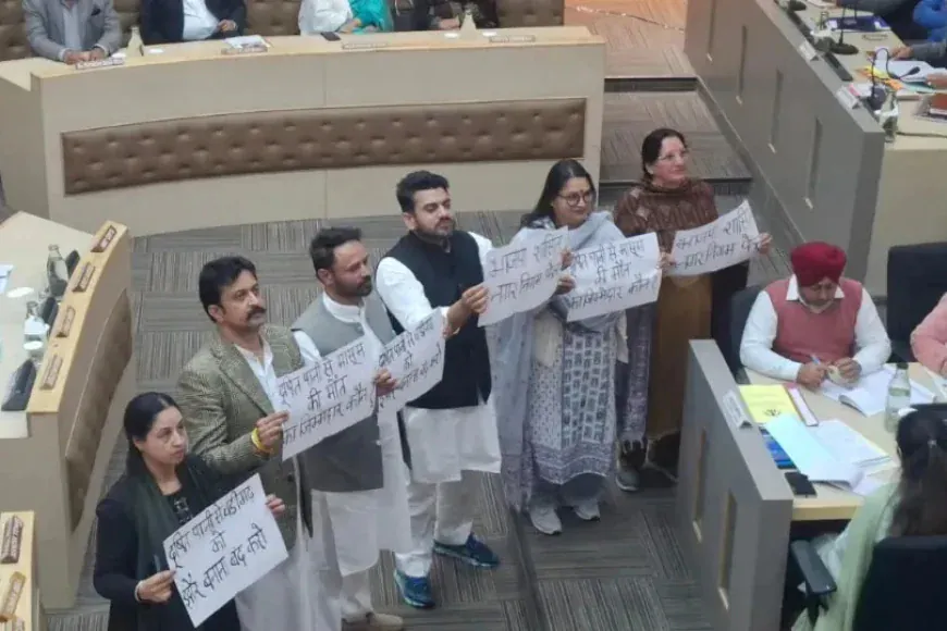 मेयर सौरभ जोशी की पहली बैठक में हाई वोल्टेज ड्रामा: 'आप-कांग्रेस' पार्षदों के बीच जमकर नारेबाजी