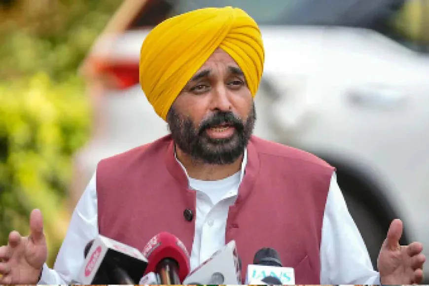 सावधान! गैस सिलेंडर की कालाबाजारी की तो होगी जेल; भगवंत मान ने डीसी को दिए छापे के आदेश